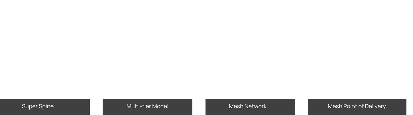 sdn-switching